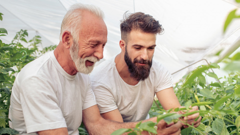 рекламна визия