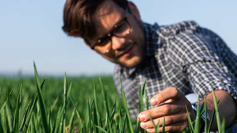 рекламна визия