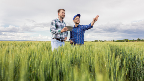 рекламна визия